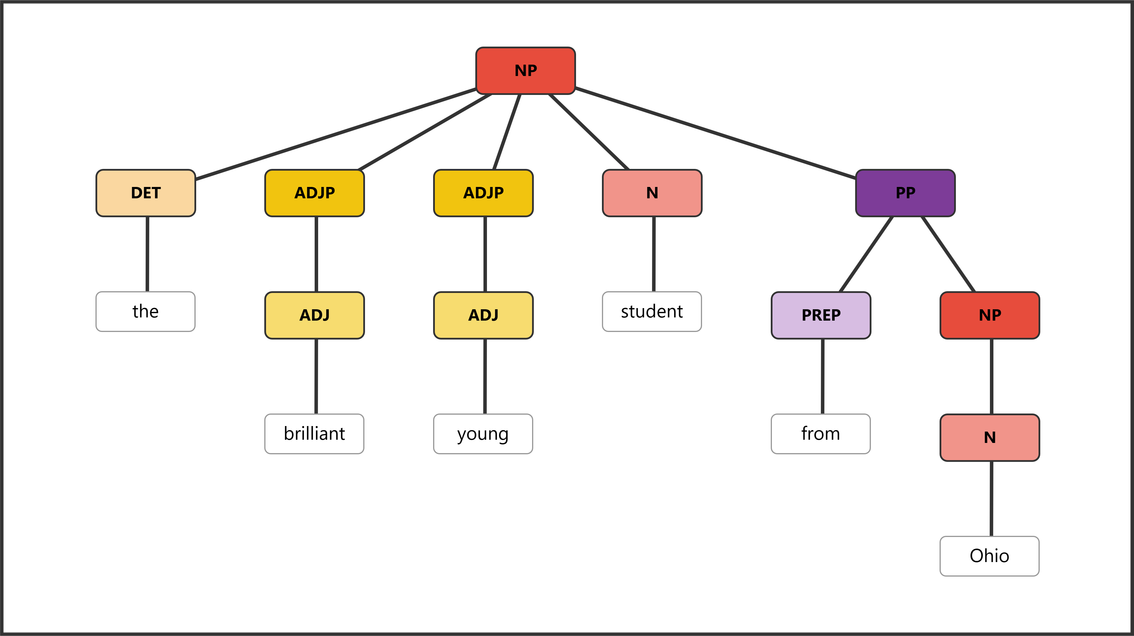 Syntax tree for "the brilliant young student from Ohio" showing multiple adjectives and a PP post-modifier
