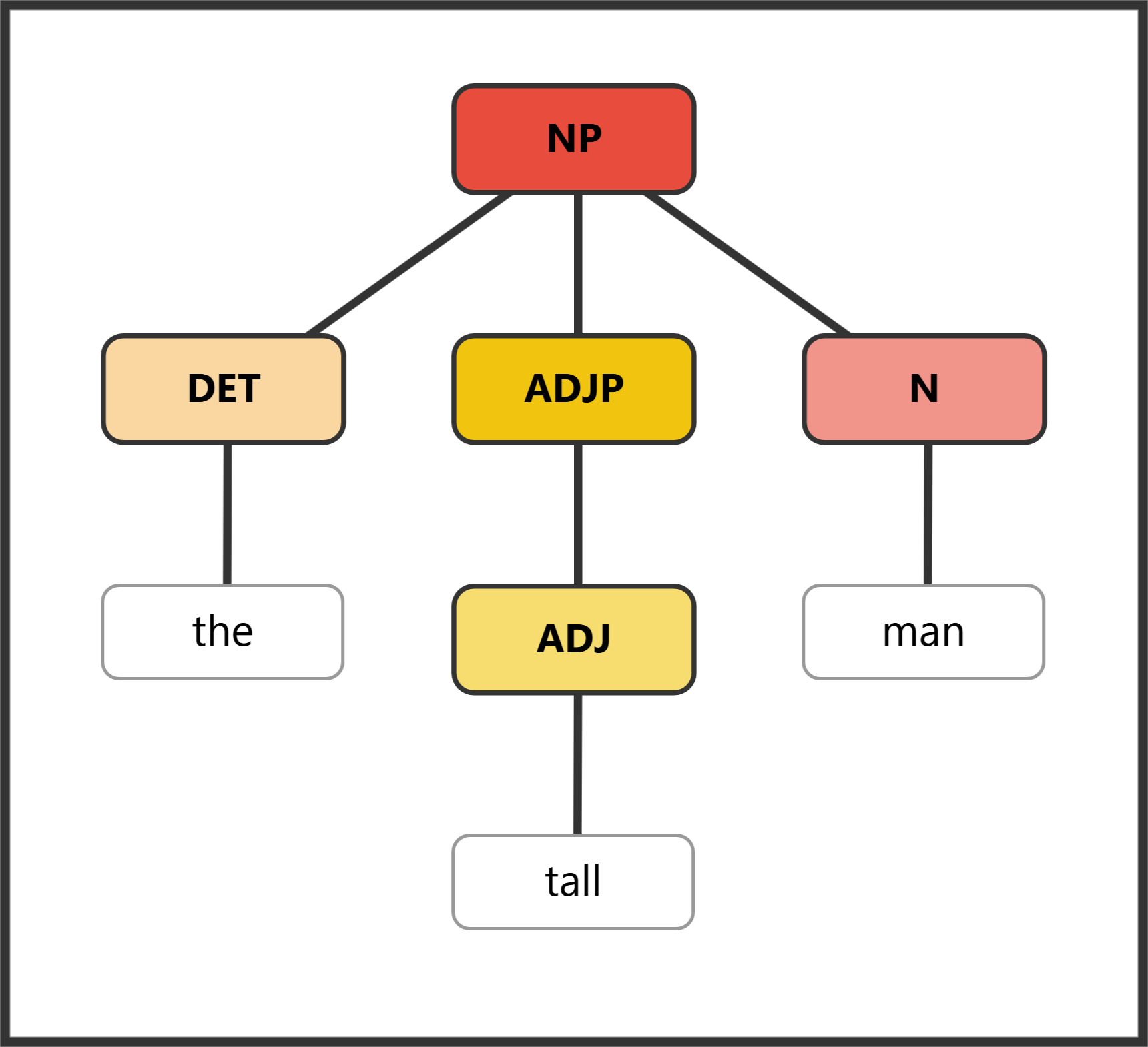Syntax tree showing AdjP in attributive position before the head noun
