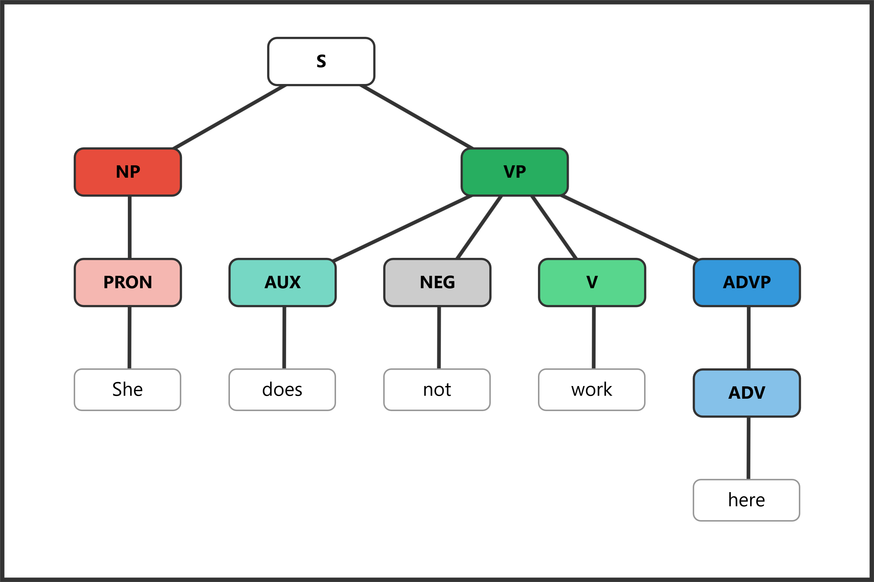 Syntax tree for "She does not work here" showing do-support carrying the negation marker in a declarative sentence