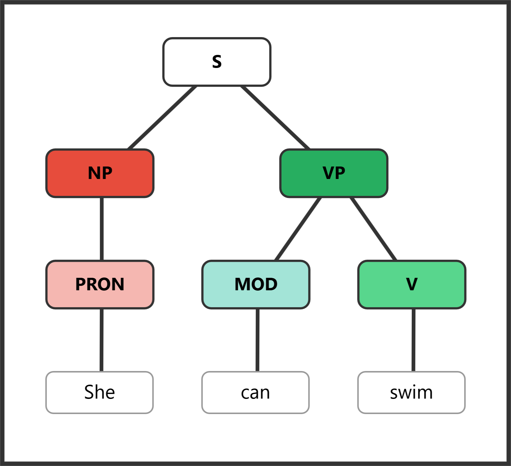 Syntax tree for "She can swim" showing the modal auxiliary can preceding the bare infinitive main verb